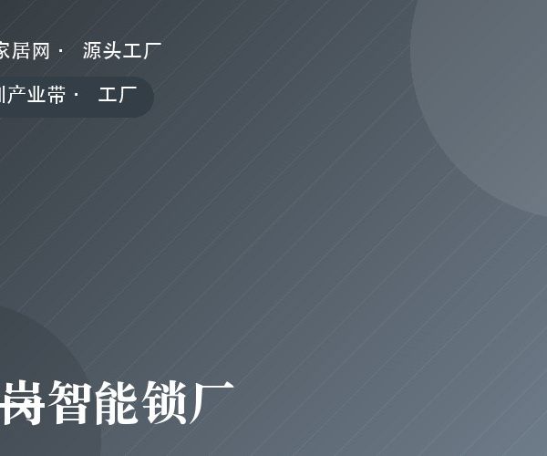 龙岗智能锁厂 工厂实拍